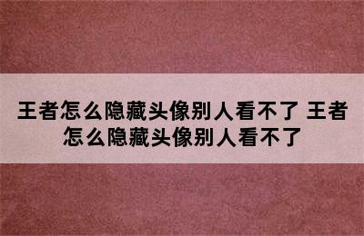 王者怎么隐藏头像别人看不了 王者怎么隐藏头像别人看不了